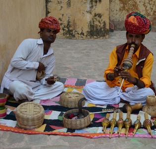 delhi