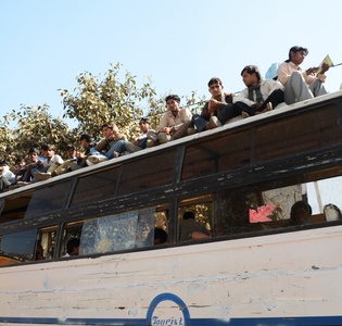 bus