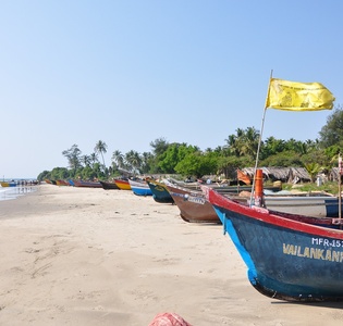 goa2