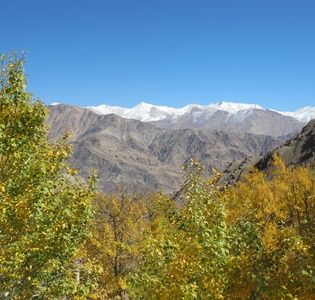 ladakh6