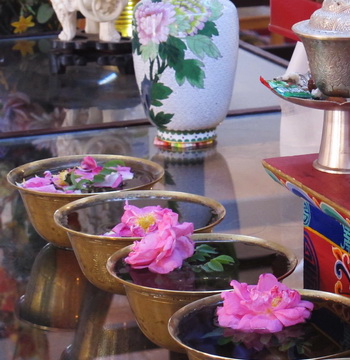 yoga-meditation-and-ayurveda